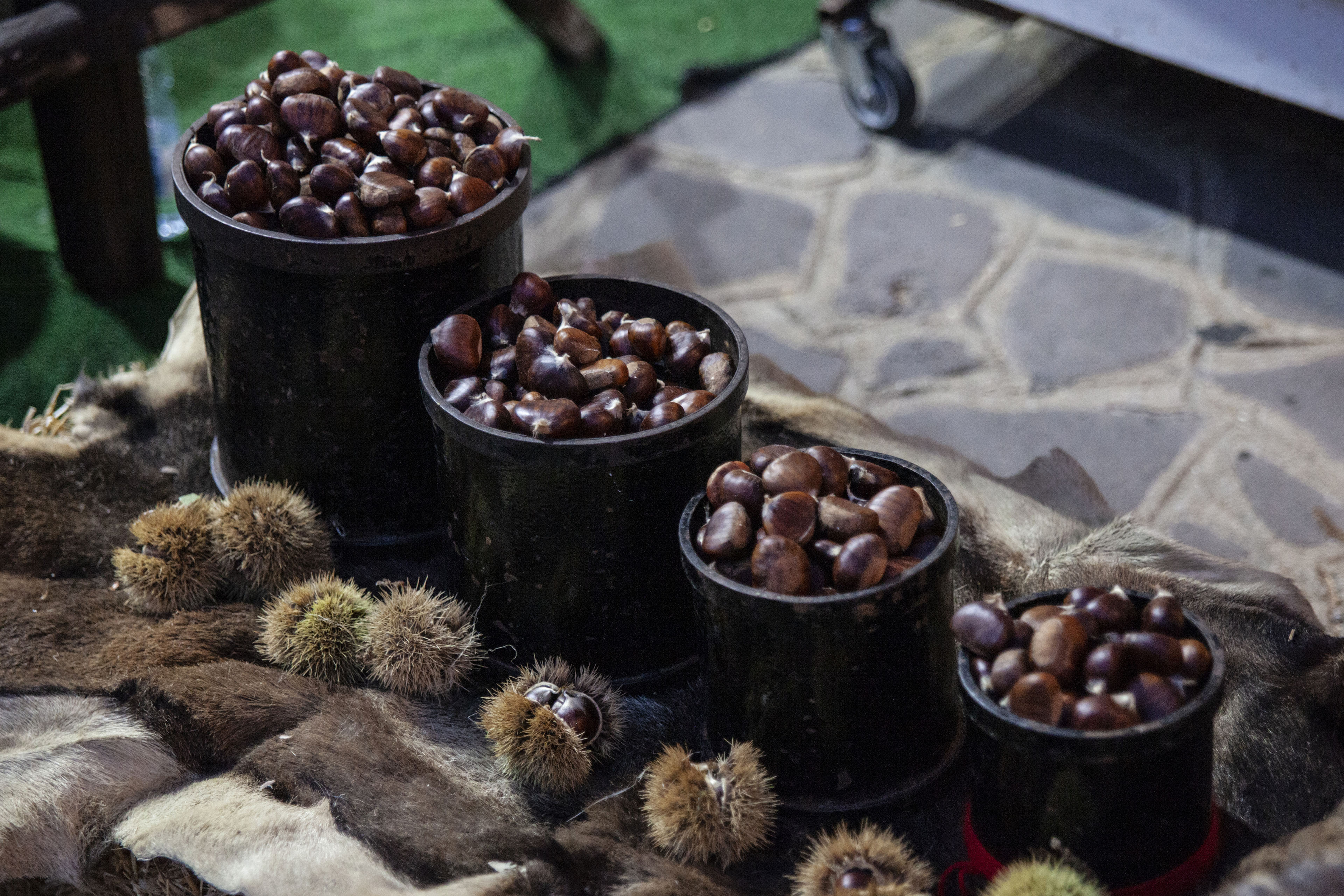 Visualizza la notizia: Enogastronomia